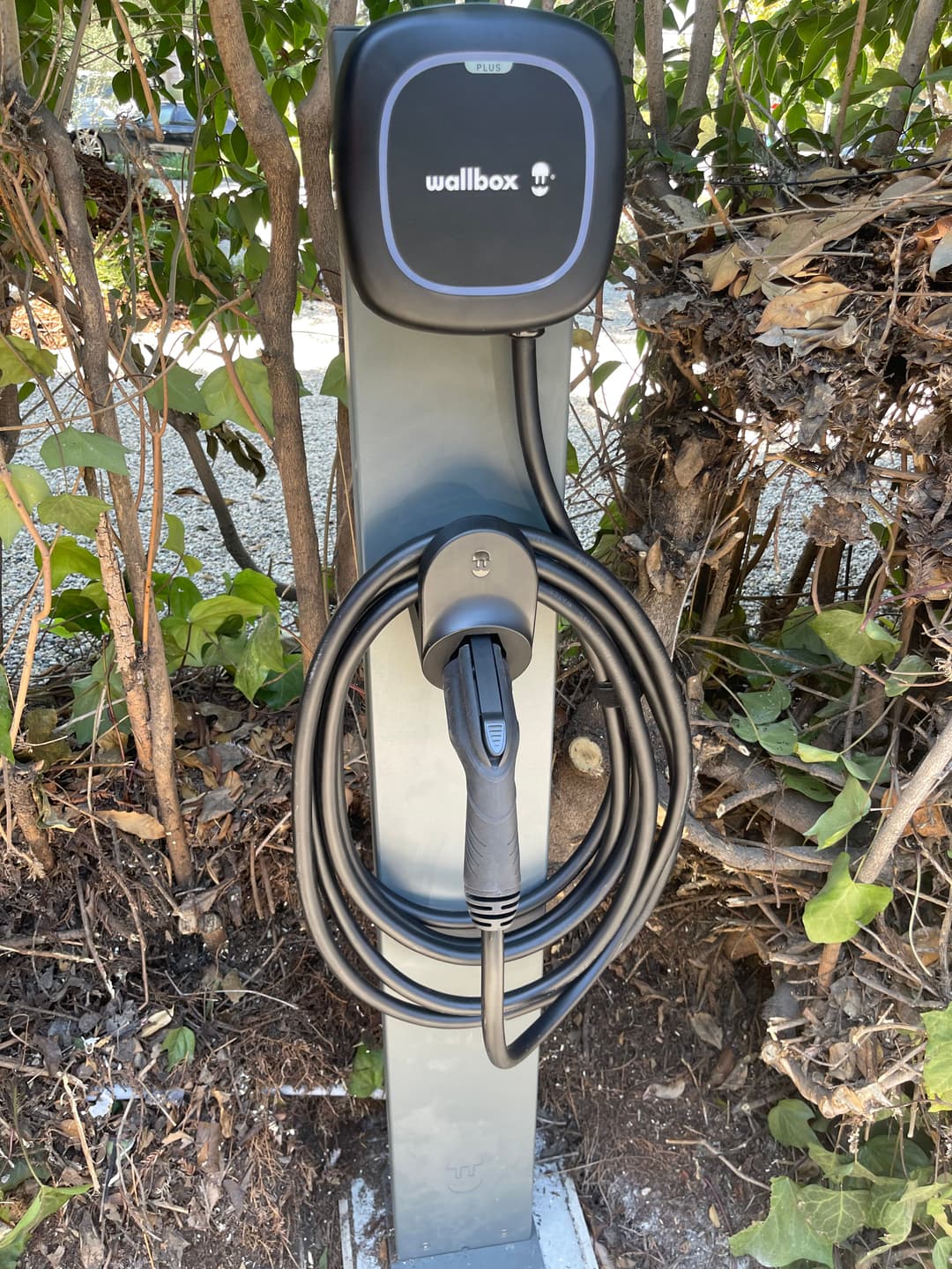 Wallbox electric vehicle charger mounted on a post, surrounded by greenery.